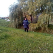  ,   , 65 ,   ,   , c 