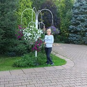 ���������� ������, ���� ������� �����, 48 ���, ������������ ��� c�������� ���������