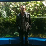  ,  vadim, 41