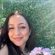 ���������� �������, ���� ������� Rose, 32 ����, ������������ ��� ������, ����� � ���������, c�������� ���������, ���������