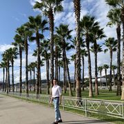 ���������� ���������, ���� ������� David, 28 ���, ������������ ��� ������