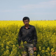  ,   Serqij, 65 ,     , c 