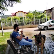 ���������� �������, ���� ������� �����, 26 ���, ������������ ��� ������, ����� � ���������