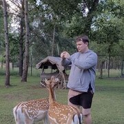 ���������� �����, ���� ������� ������, 32 ����, ������������ ��� ������, ����� � ���������