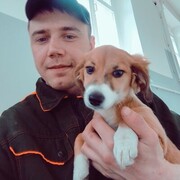 ���������� ����, ���� ������� Artemka, 34 ����, ������������ ��� ������, ����� � ���������, c�������� ���������, ���������