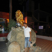 ���������� ����, ���� ������� ����, 43 ����, ������������ 