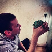 ���������� �������, ���� ������� �������, 30 ���, ������������ ��� ������, ����� � ���������