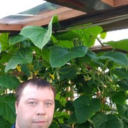 ���������� ������, ���� ������� ������, 39 ���, ������������ ��� ������, ����� � ���������, c�������� ���������