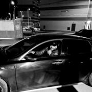 ���������� �����-���������, ���� ������� ������, 31 ���, ������������ ��� ������, ����� � ���������