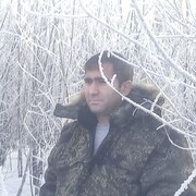  ,   Elqar, 37 ,   ,   