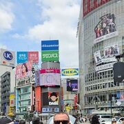 ���������� ��������, ���� ������� ���������, 44 ����, ������������ ��� ������, ����� � ���������