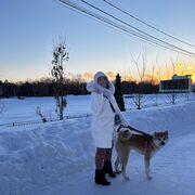 ���������� �����-���������, ���� ������� �������, 32 ����, ������������ ��� ������, ����� � ���������, c�������� ���������