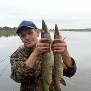 ���������� ����������, ���� ������� ���������, 45 ���, ������������ ��� ������, ����� � ���������, c�������� ���������