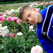  ,   , 29 ,   