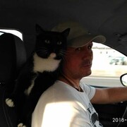  ,   , 53 ,   ,   