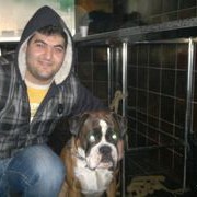 ���������� �������, ���� ������� ������, 39 ���, ������������ ��� ������