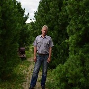 ���������� ������������, ���� ������� ����, 63 ����, ������������ ��� ������, ���������