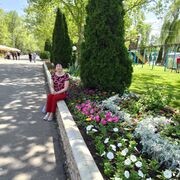 ���������� ���������, ���� ������� �������, 65 ���, ������������ ��� ����� � ���������