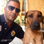  Bissendorf,  Philippe, 51
