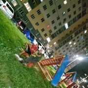 ���������� ��������, ���� ������� ���������, 39 ���, ������������ ��� ������, ����� � ���������