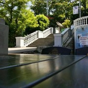 ���������� ����, ���� ������� �����, 39 ���, ������������ 