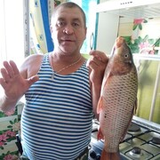  --,   , 54 ,   ,   