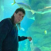 ���������� ������� ��������, ���� ������� ���������, 60 ���, ������������ ��� ������, ����� � ���������