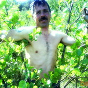  ,   , 59 ,   