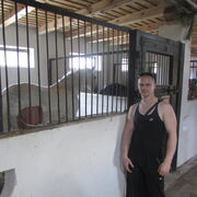 ���������� ������, ���� ������� ����, 41 ���, ������������ ��� ������, ����� � ���������, c�������� ���������