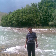  ,   Lion, 43 ,  