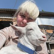 ���������� ��������, ���� ������� �����, 50 ���, ������������ ��� c�������� ���������