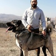  -,  Ivan, 44