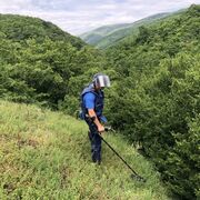  ,   , 29 ,   ,   