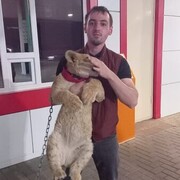  ,   , 26 ,   ,   , 