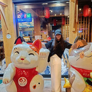 ���������� ����������, ���� ������� ������, 37 ���, ������������ ��� ������, ����� � ���������, c�������� ���������