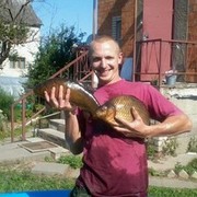  ,   , 41 ,  