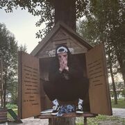 ���������� �����������, ���� ������� Hola, 27 ���, ������������ ��� ������, ����� � ���������