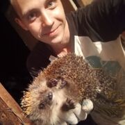 ���������� �������, ���� ������� ���������, 28 ���, ������������ ��� c�������� ���������, ���������