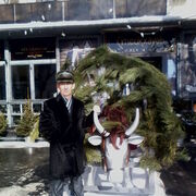 ���������� ������, ���� ������� �����, 66 ���, ������������ ��� ������, ����� � ���������, c�������� ���������