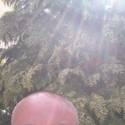 ���������� �����, ���� ������� ������, 44 ����, ������������ ��� ������, ����� � ���������, c�������� ���������