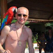 ���������� ������, ���� ������� ����, 48 ���, ������������ ��� ������, ����� � ���������, c�������� ���������, ���������