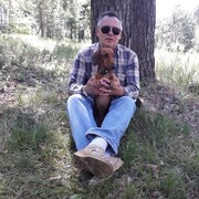  ,   , 51 ,   ,   