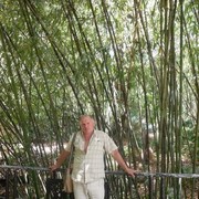  ,   , 56 ,   ,   , c 