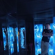 ���������� �����, ���� ������� �������, 33 ����, ������������ ��� c�������� ���������