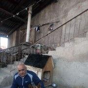  ,   , 63 ,     