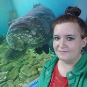  ,   , 33 ,     , 