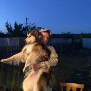 ���������� ������, ���� ������� �����, 41 ���, ������������ ��� ������, ����� � ���������, c�������� ���������