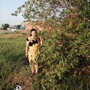 ���������� �����������, ���� ������� �����, 45 ���, ������������ ��� ������, ����� � ���������