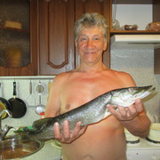 ���������� �����������, ���� ������� ������, 73 ����, ������������ ��� ������, ����� � ���������, c�������� ���������