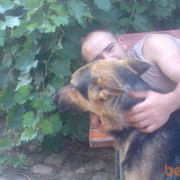  ,   Ilqar, 38 ,   